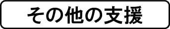 ocRT^gɂȗ̎xvF